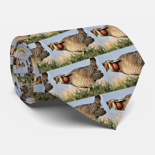 草原鶏、より少し(B0AZ) ネクタイ (ロール)