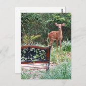 草園写真で鹿が子鹿 ポストカード (正面/裏面)