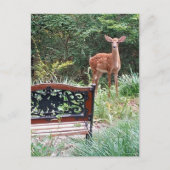 草園写真で鹿が子鹿 ポストカード (正面)