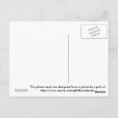 草園写真はがき ポストカード (裏面)