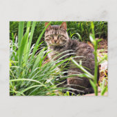 草園写真はがき ポストカード (正面)