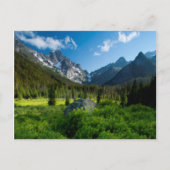 草地とスチュアート山 ポストカード (正面)