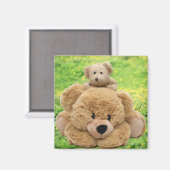 草地にかわいいテディベア マグネット (正面/裏面)