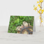 草地に食べおける亀のクローバー カード (黄色い花)