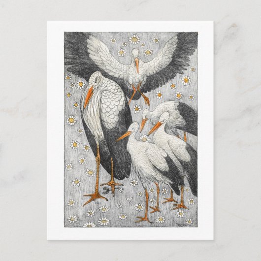 草地に5つのコウノトリ – テオ・ファン・ホイテマ ポストカード (正面)