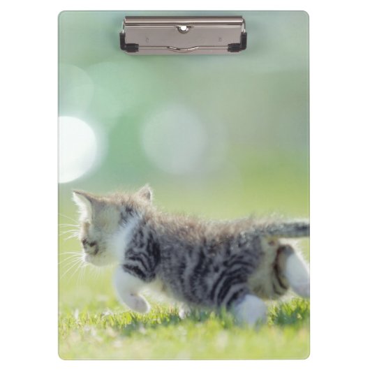 草地のベビー猫のランニング クリップボード (正面)