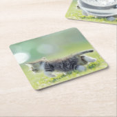 草地のベビー猫のランニング スクエアペーパーコースター (アングル)