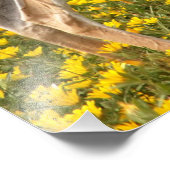 草地ガゼル フォトプリント            (角)