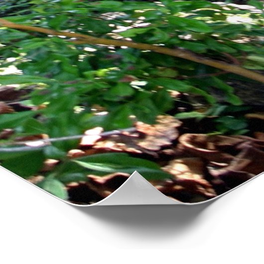 草小屋 ポスター (角)