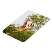 草木の上からキリンが覗く マグネット (左側)