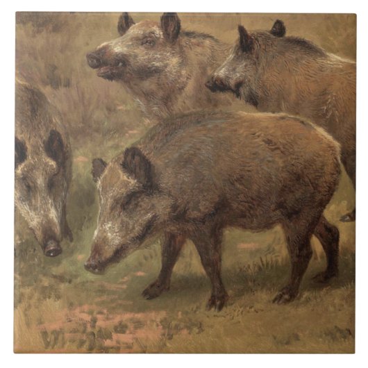 草深い風景の中の4つの猪(Rosa Bonheur) タイル (正面)