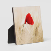 草独身の畑の赤いポピー フォトプラーク (正面)