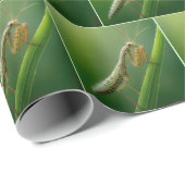 草祈の上のマンティス ラッピングペーパー (ロールコーナー)