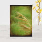 草種子 カード (黄色い花)