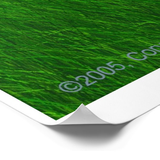 草色の夕日 ポスター (角)