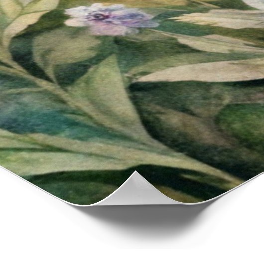 草花と蝶 ポスター (角)