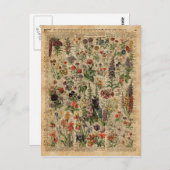 草花カラフルハーブ辞書アート ポストカード (正面/裏面)