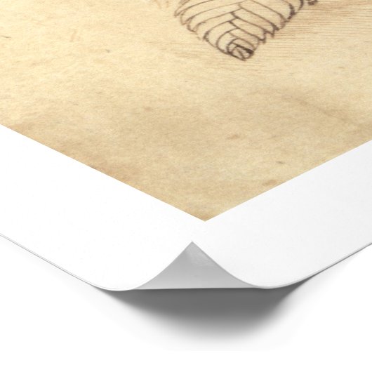 草花勉強(Briza M ポスター (角)