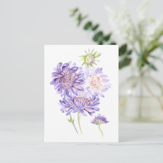 草花 ポストカード (スタンド正面)