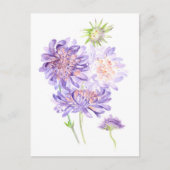 草花 ポストカード (正面)