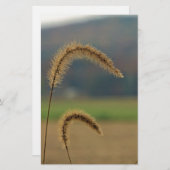 草茎 便箋 (正面/裏面)