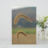 草茎 便箋 (スタンド正面)