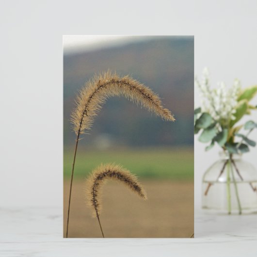 草茎 便箋 (スタンド正面)