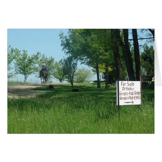 草食べ物を与えオーガニック卵 (正面横)