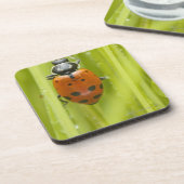 草、クローズアップのてんとう虫 コースター (左側)