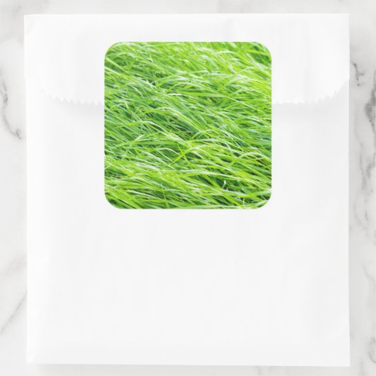 草 スクエアシール (バッグ)