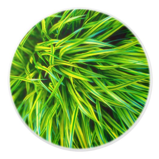 草 セラミックノブ (正面)