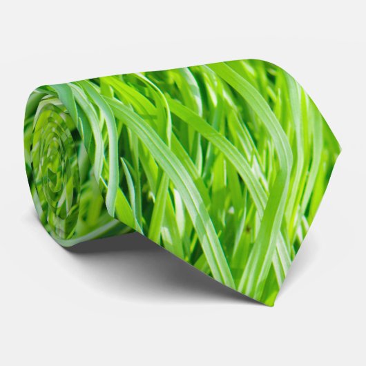 草 ネクタイ (ロール)