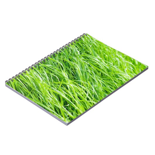 草 ノートブック (左側)