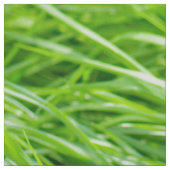 草 ファブリック (見本)