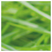 草 ファブリック (クローズアップ)