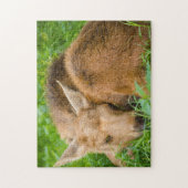 草、ベビー動物で眠っているベビーのアメリカヘラジカ ジグソーパズル (縦)