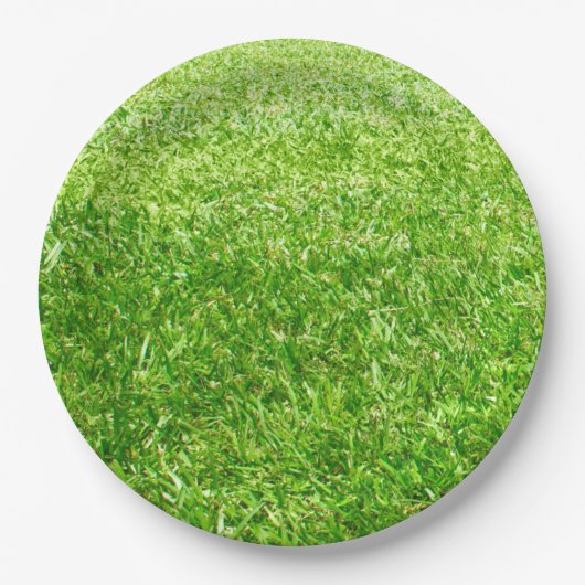 草 ペーパープレート (正面)