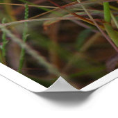 草 ポスター (角)