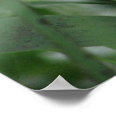 草 ポスター (角)