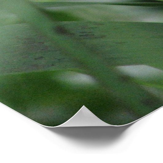 草 ポスター (角)