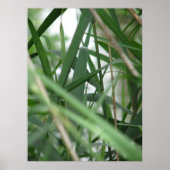 草 ポスター (正面)