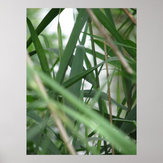 草 ポスター (正面)