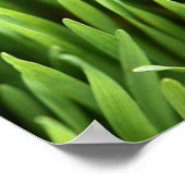 草 ポスター (角)