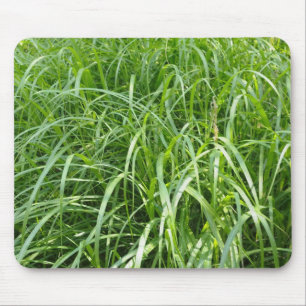 草 マウスパッド