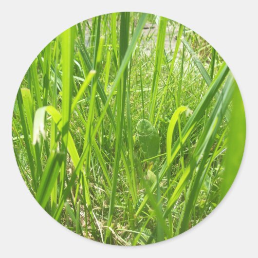 草 ラウンドシール (正面)