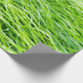 草 ラッピングペーパー (角)