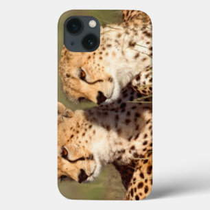 草、Ngorongoroの保存にあっているチータ iPhone 13ケース