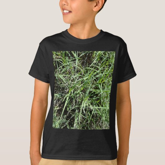 草 Tシャツ (正面)