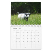 草K-N-Sの農場のカレンダーのヤギ カレンダー (2月 2026)