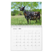 草K-N-Sの農場のカレンダーのヤギ カレンダー (1月 2026)